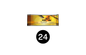 Golden Honey 24 sticks individuels 10 g
